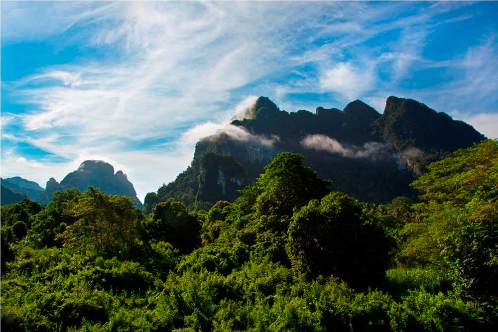 Khao Sok National Park and Khao Sok lake - Coco Hostel